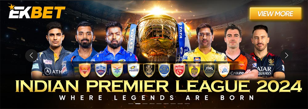 Banner featuring action-packed IPL 2024 cricket match